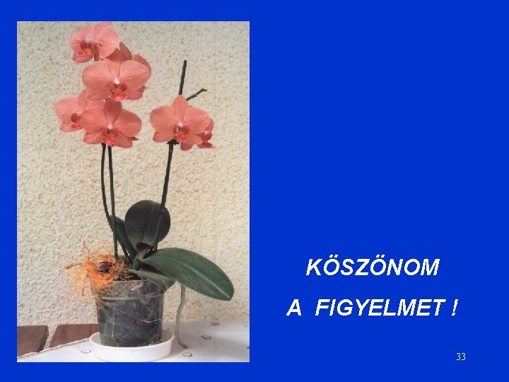 KÖSZÖNOM A FIGYELMET ! 33 