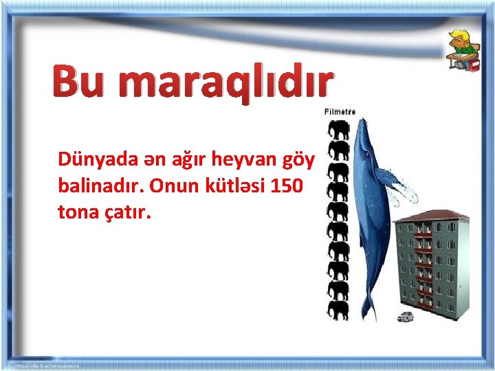 Bu maraqlıdır Dünyada ən ağır heyvan göy balinadır. Onun kütləsi 150 tona çatır. Bu maraqlıdır Dünyada ən ağır heyvan göy balinadır. Onun kütləsi 150 tona çatır.