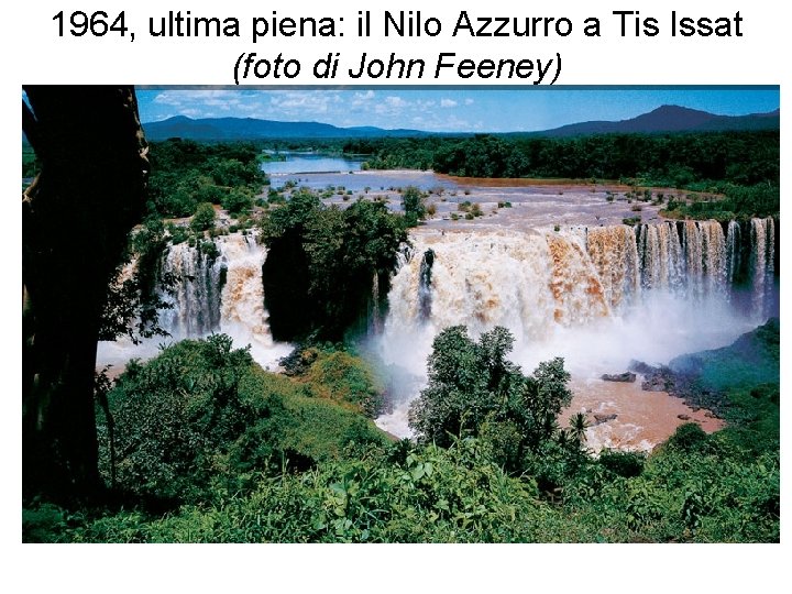1964, ultima piena: il Nilo Azzurro a Tis Issat (foto di John Feeney) 1964, ultima piena: il Nilo Azzurro a Tis Issat (foto di John Feeney)
