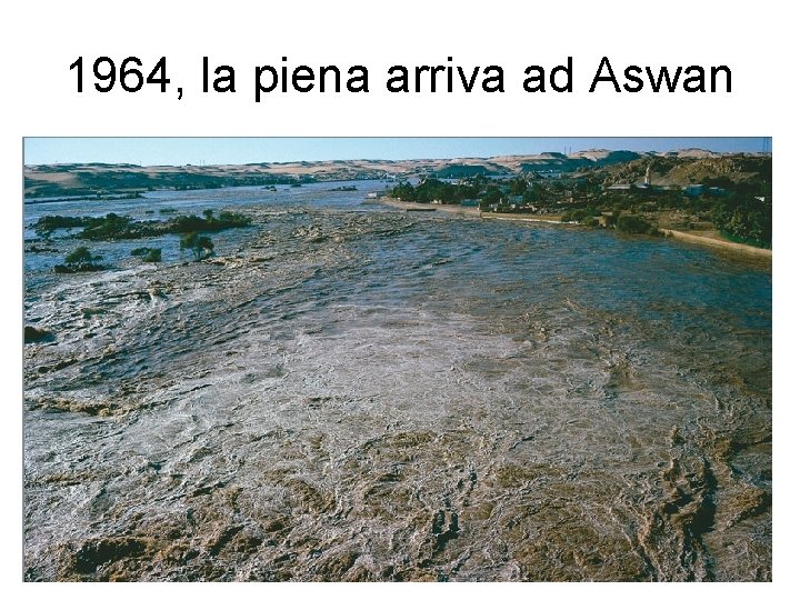 1964, la piena arriva ad Aswan 1964, la piena arriva ad Aswan