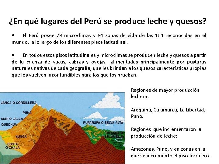 ¿En qué lugares del Perú se produce leche y quesos? • El Perú posee