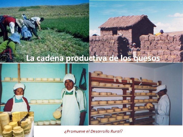 La cadena productiva de los quesos ¿Promueve el Desarrollo Rural? 