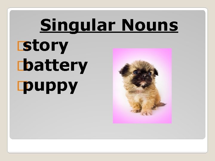 Singular Nouns � story � battery � puppy 
