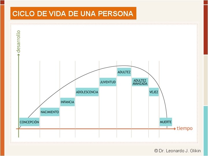 CICLO DE VIDA DE UNA PERSONA © Dr. Leonardo J. Glikin 