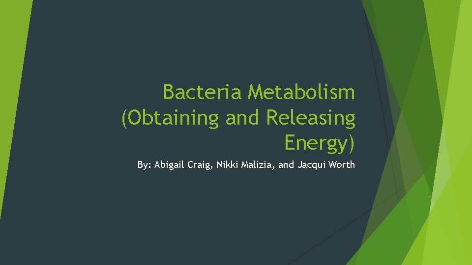 Bacteria Metabolism (Obtaining and Releasing Energy) By: Abigail Craig, Nikki Malizia, and Jacqui Worth