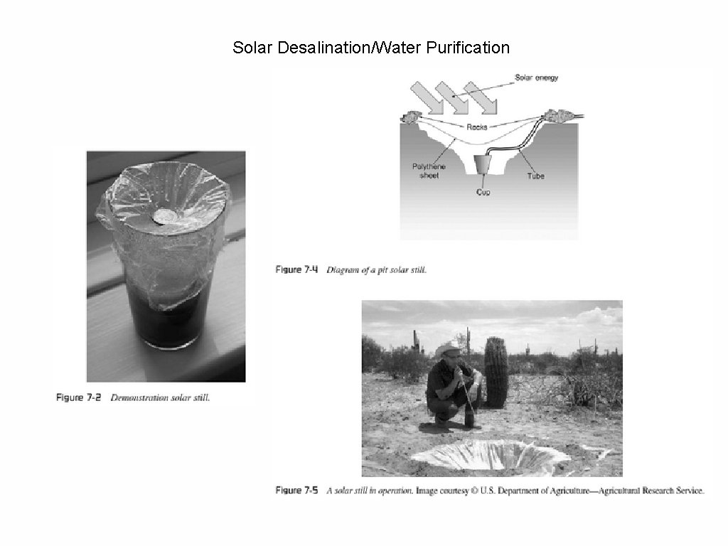 Solar Desalination/Water Purification 