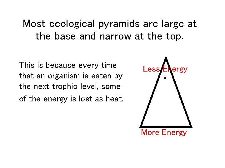 Most ecological pyramids are large at the base and narrow at the top. This