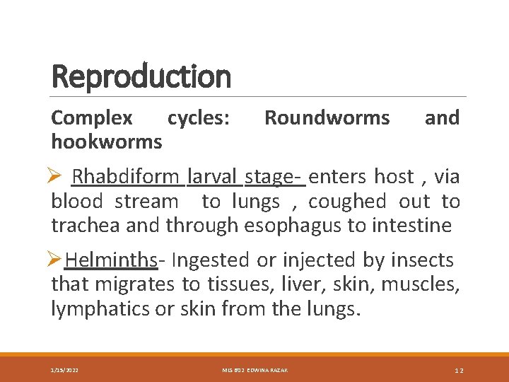 Reproduction Complex cycles: hookworms Roundworms and Ø Rhabdiform larval stage- enters host , via