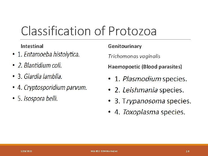 Classification of Protozoa Intestinal Genitourinary Trichomonas vaginalis Haemopoetic (Blood parasites) 1/15/2022 MLS 602 EDWINA