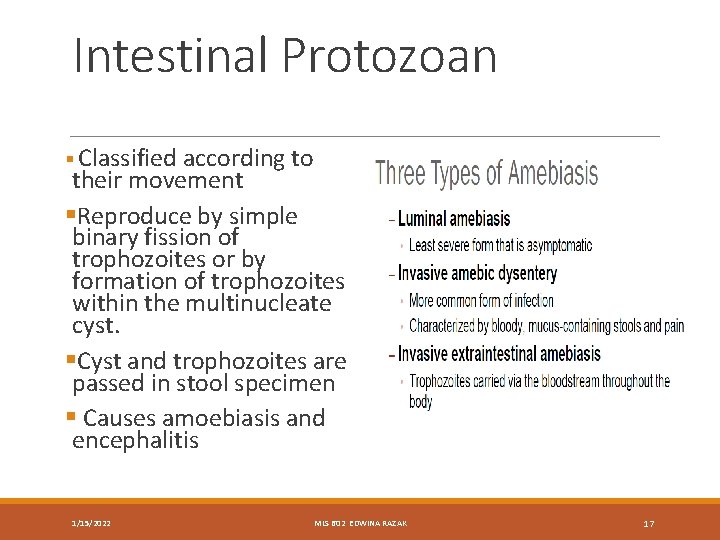 Intestinal Protozoan § Classified according to their movement §Reproduce by simple binary fission of