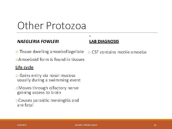 Other Protozoa LAB DIAGNOSIS NAEGLERIA FOWLERI o Tissue dwelling amoeboflagellate o CSF contains motile