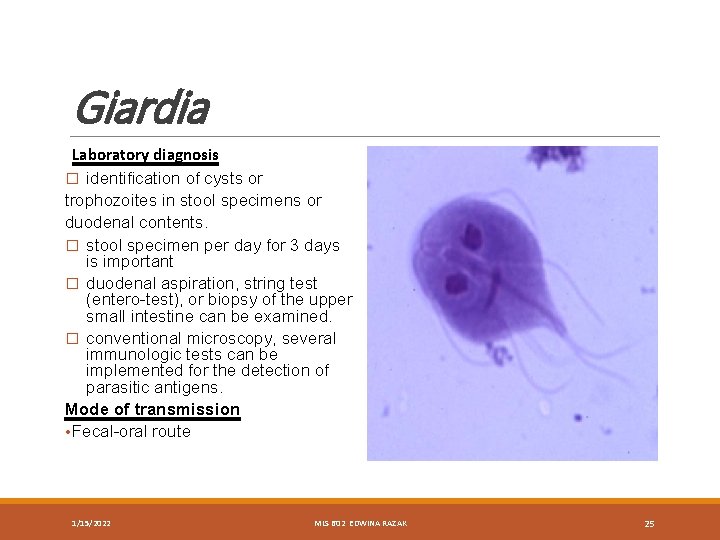 Giardia Laboratory diagnosis � identification of cysts or trophozoites in stool specimens or duodenal