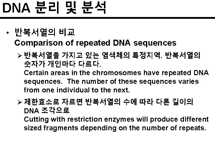 DNA 분리 및 분석 • 반복서열의 비교 Comparison of repeated DNA sequences Ø 반복서열을