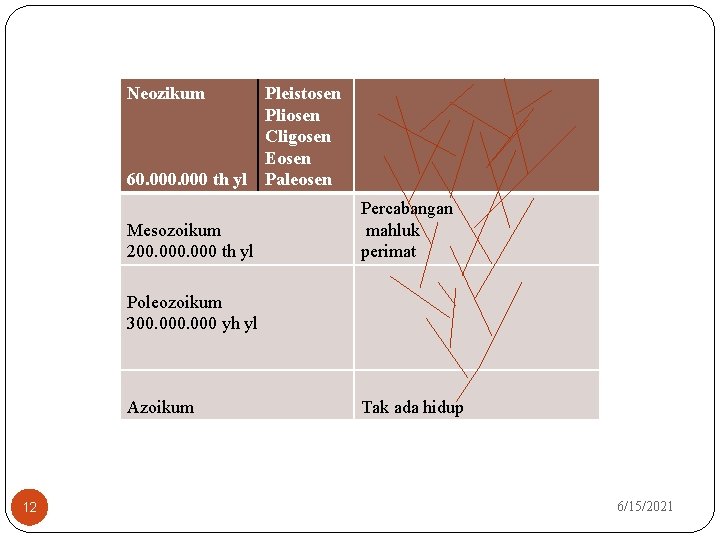 Neozikum 60. 000 th yl Mesozoikum 200. 000 th yl Pleistosen Pliosen Cligosen Eosen