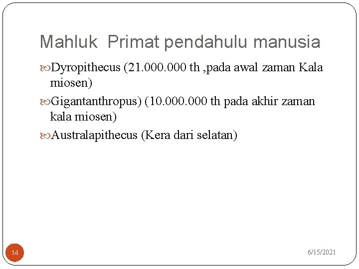 Mahluk Primat pendahulu manusia Dyropithecus (21. 000 th , pada awal zaman Kala miosen)