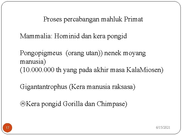 Proses percabangan mahluk Primat Mammalia: Hominid dan kera pongid Pongopigmeus (orang utan)) nenek moyang Proses percabangan mahluk Primat Mammalia: Hominid dan kera pongid Pongopigmeus (orang utan)) nenek moyang