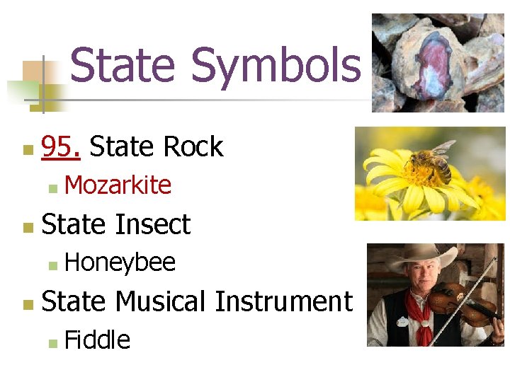 State Symbols n 95. State Rock n n State Insect n n Mozarkite Honeybee