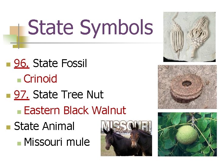 State Symbols 96. State Fossil n Crinoid n 97. State Tree Nut n Eastern