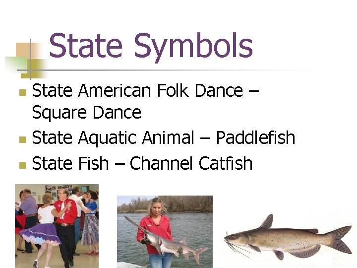 State Symbols State American Folk Dance – Square Dance n State Aquatic Animal –