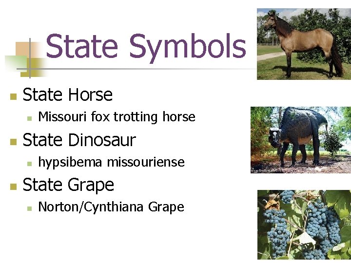 State Symbols n State Horse n n State Dinosaur n n Missouri fox trotting