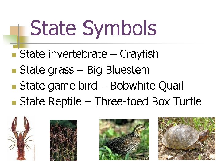 State Symbols State n invertebrate – Crayfish grass – Big Bluestem game bird –