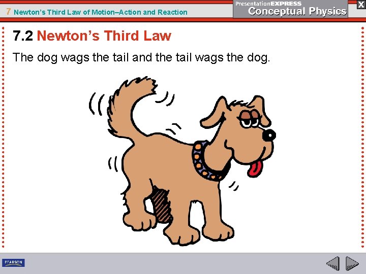 7 Newton’s Third Law of Motion–Action and Reaction 7. 2 Newton’s Third Law The