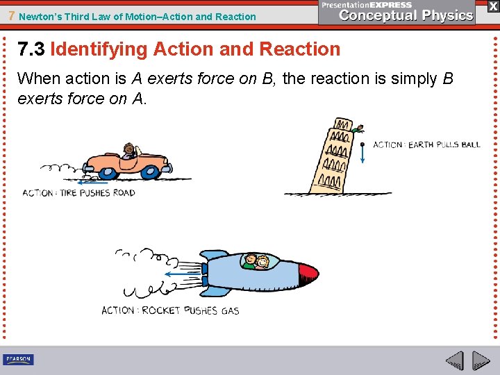 7 Newton’s Third Law of Motion–Action and Reaction 7. 3 Identifying Action and Reaction