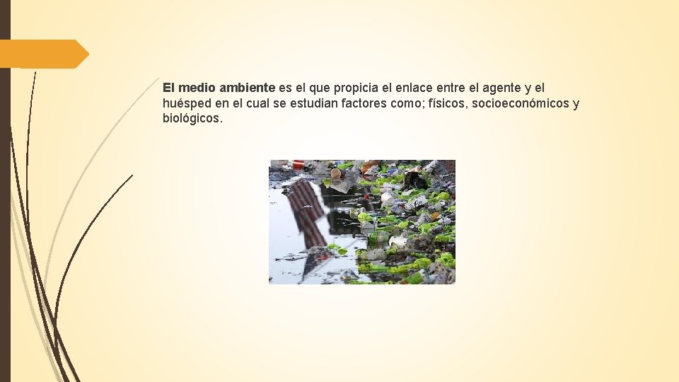El medio ambiente es el que propicia el enlace entre el agente y el