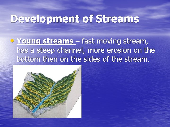 Development of Streams • Young streams – fast moving stream, has a steep channel,