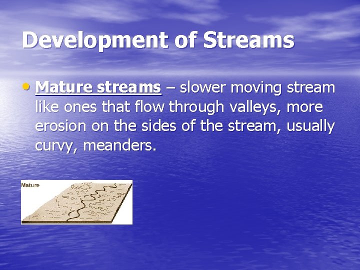 Development of Streams • Mature streams – slower moving stream like ones that flow