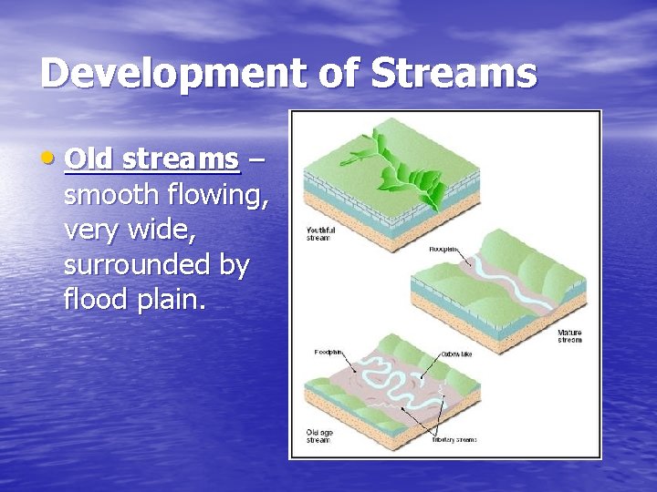 Development of Streams • Old streams – smooth flowing, very wide, surrounded by flood