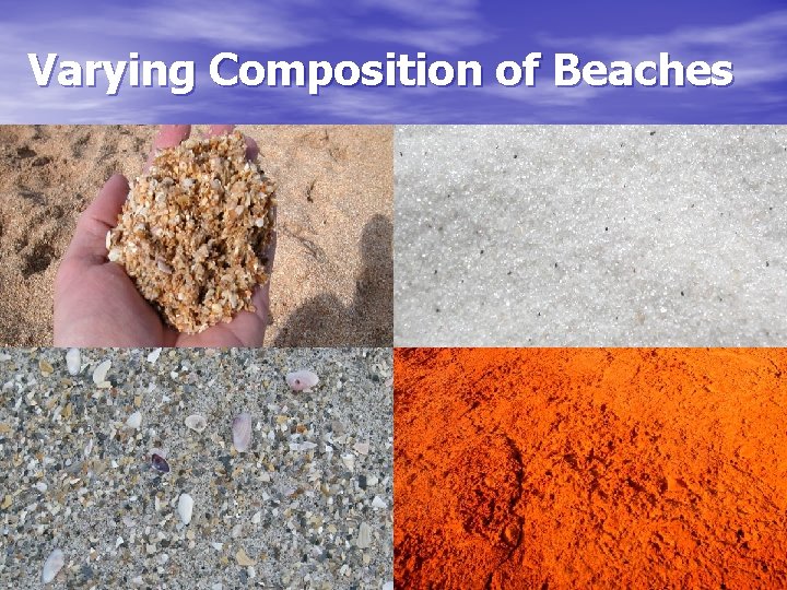 Varying Composition of Beaches 