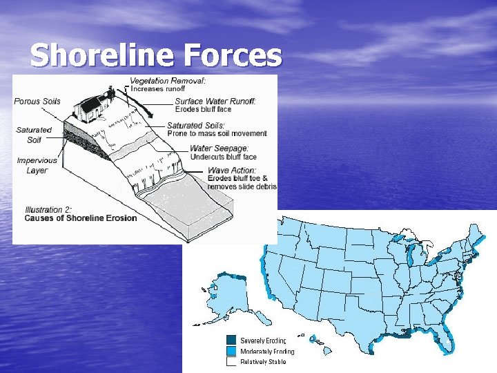 Shoreline Forces 