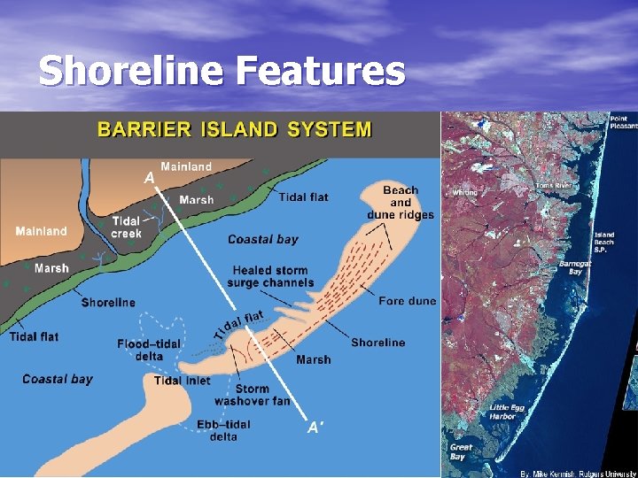 Shoreline Features • Barrier island 
