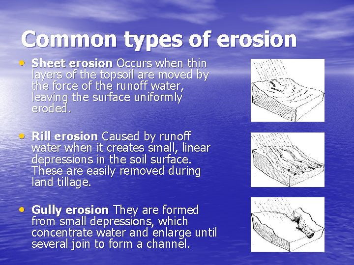 Common types of erosion • Sheet erosion Occurs when thin layers of the topsoil