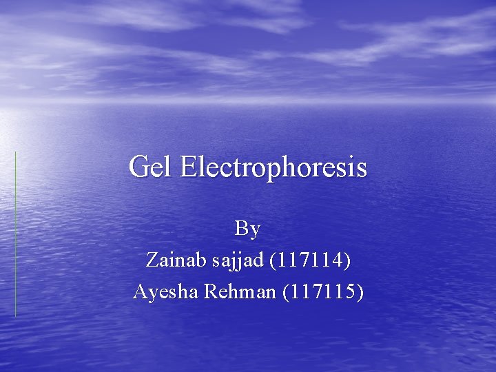 Gel Electrophoresis By Zainab sajjad (117114) Ayesha Rehman (117115) 