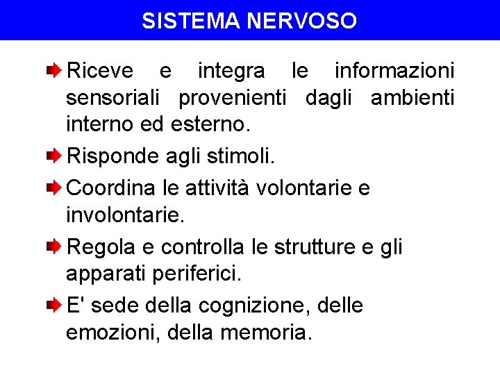 SISTEMA NERVOSO Riceve e integra le informazioni sensoriali provenienti dagli ambienti interno ed esterno.