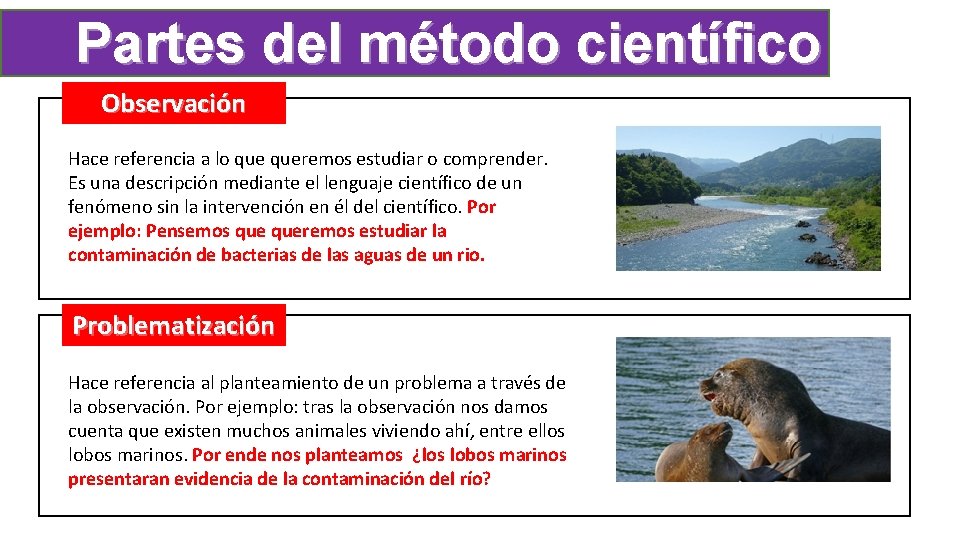 Partes del método científico Observación Hace referencia a lo queremos estudiar o comprender. Es