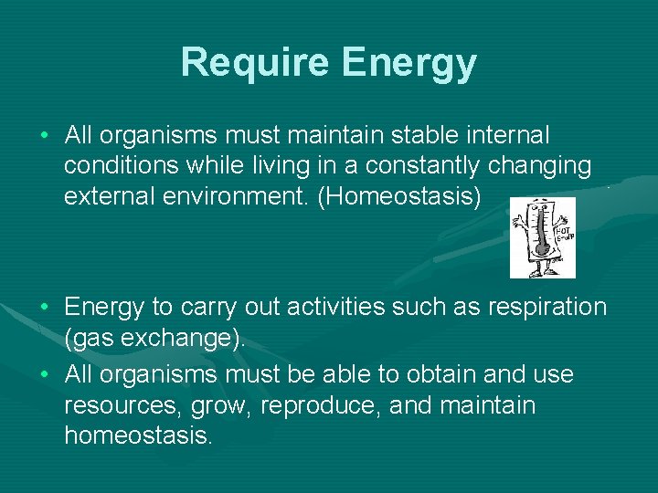 Require Energy • All organisms must maintain stable internal conditions while living in a