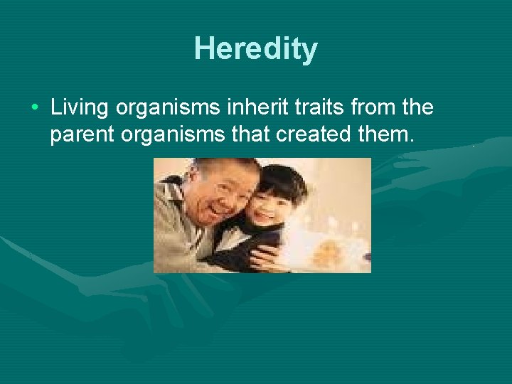 Heredity • Living organisms inherit traits from the parent organisms that created them. 