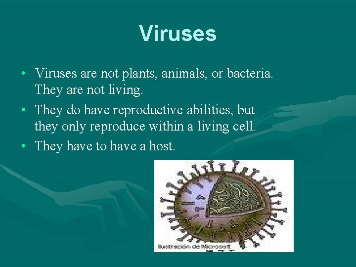 Viruses • Viruses are not plants, animals, or bacteria. They are not living. •