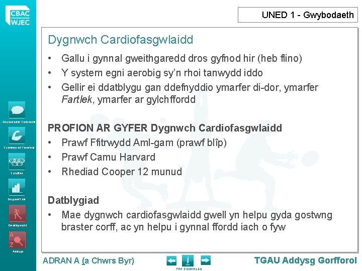 UNED 1 - Gwybodaeth Dygnwch Cardiofasgwlaidd • Gallu i gynnal gweithgaredd dros gyfnod hir