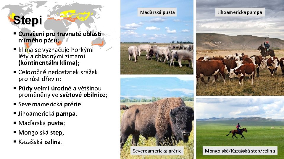 Stepi Maďarská pusta Jihoamerická pampa Severoamerická prérie Mongolská/Kazašská step/celina § Оznačení pro travnaté oblasti