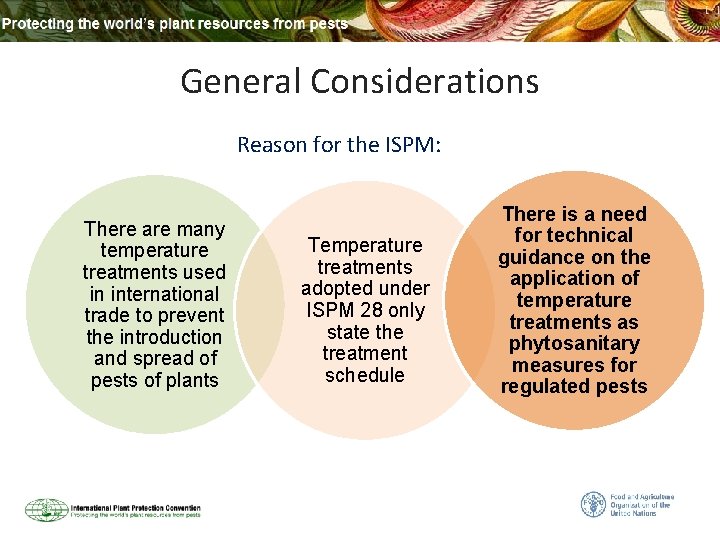 General Considerations Reason for the ISPM: There are many temperature treatments used in international