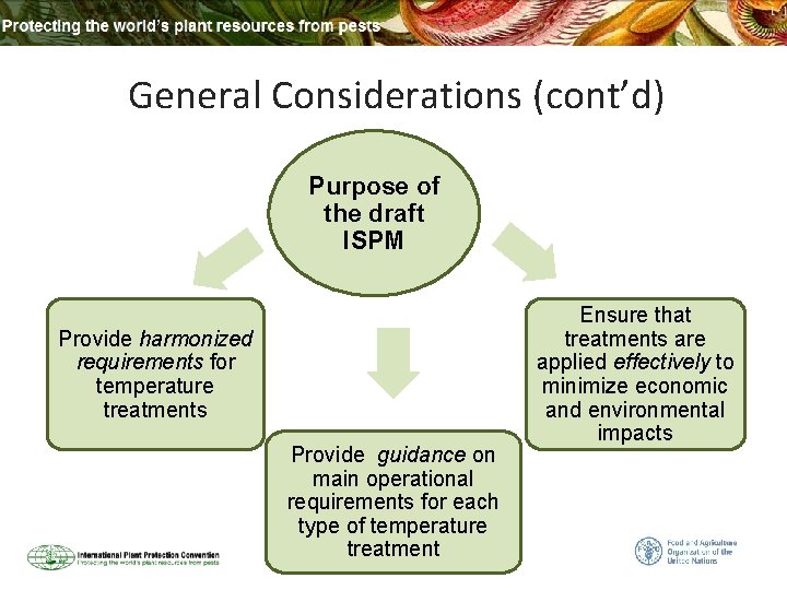 General Considerations (cont’d) Purpose of the draft ISPM Provide harmonized requirements for temperature treatments