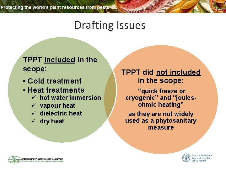 Drafting Issues TPPT included in the scope: • Cold treatment • Heat treatments ü