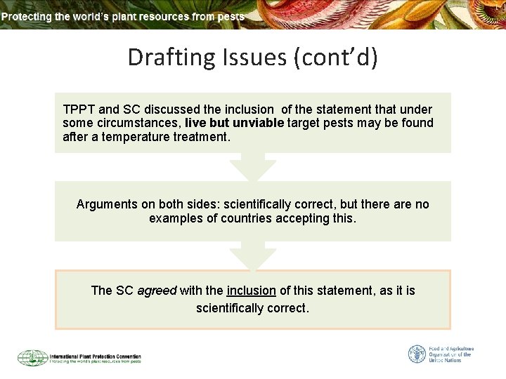 Drafting Issues (cont’d) TPPT and SC discussed the inclusion of the statement that under