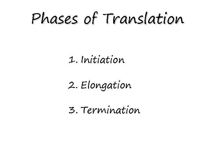 Phases of Translation 1. Initiation 2. Elongation 3. Termination 