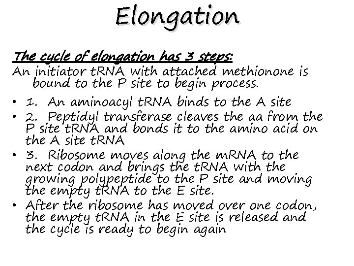 Elongation The cycle of elongation has 3 steps: An initiator t. RNA with attached