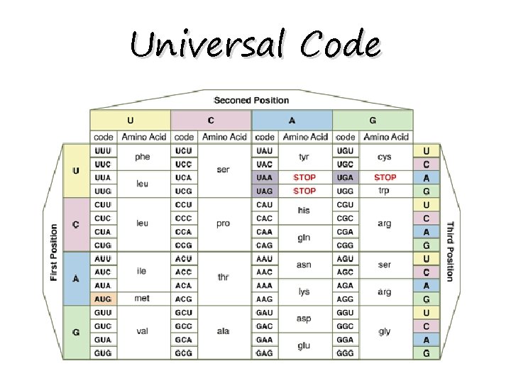 Universal Code 